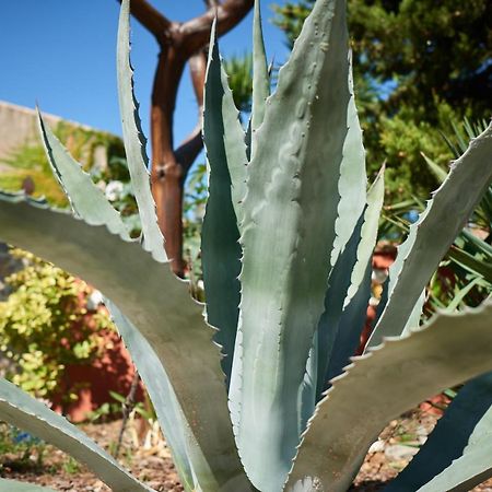 Jardin De Palme Lejlighed La Palme Eksteriør billede