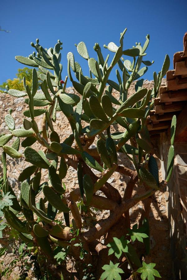 Jardin De Palme Lejlighed La Palme Eksteriør billede